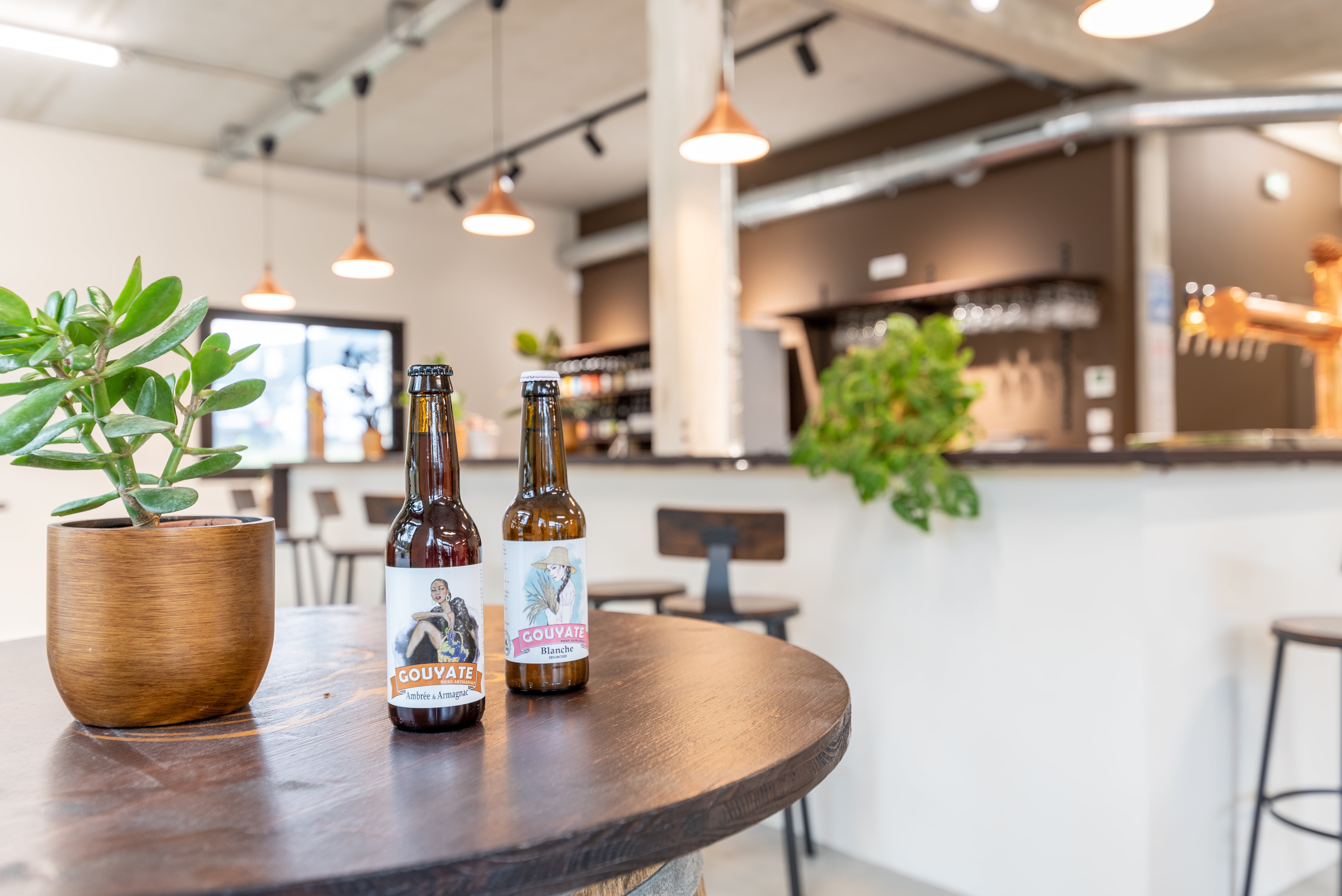 Brasserie Cath - Labenne (21)-min